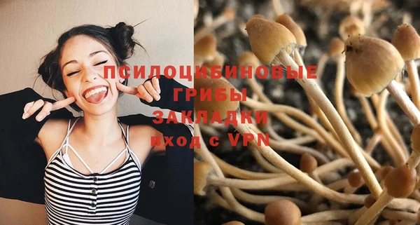 mdpv Красноперекопск