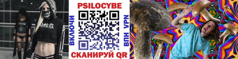 Купить закладки  Арамиль  Галлюциногенные грибы Psilocybine cubensis 